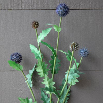 Thistle Stem - Staged Dwellings