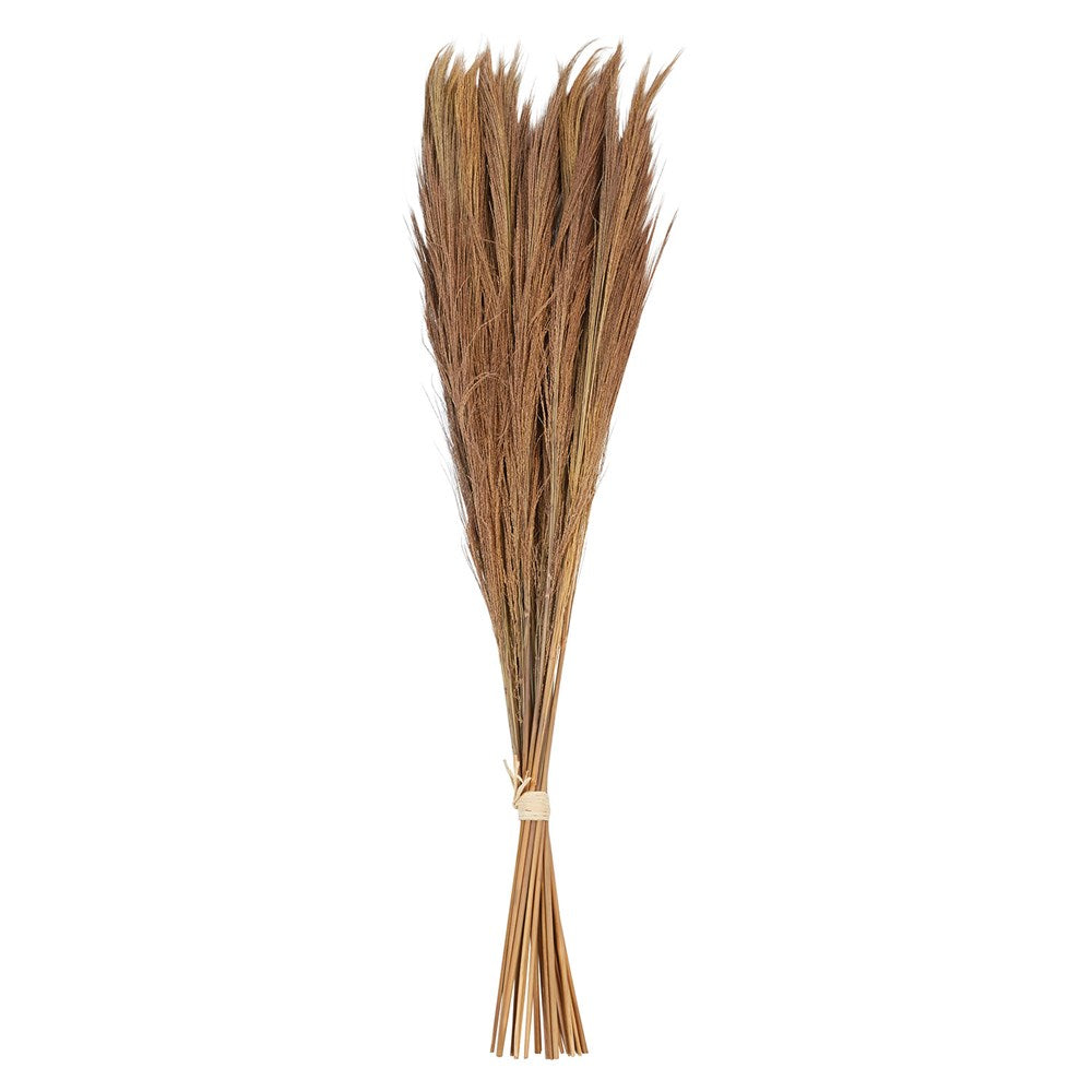 Dried Tiger Grass Bunch