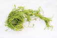 Natural Creeping Cedar