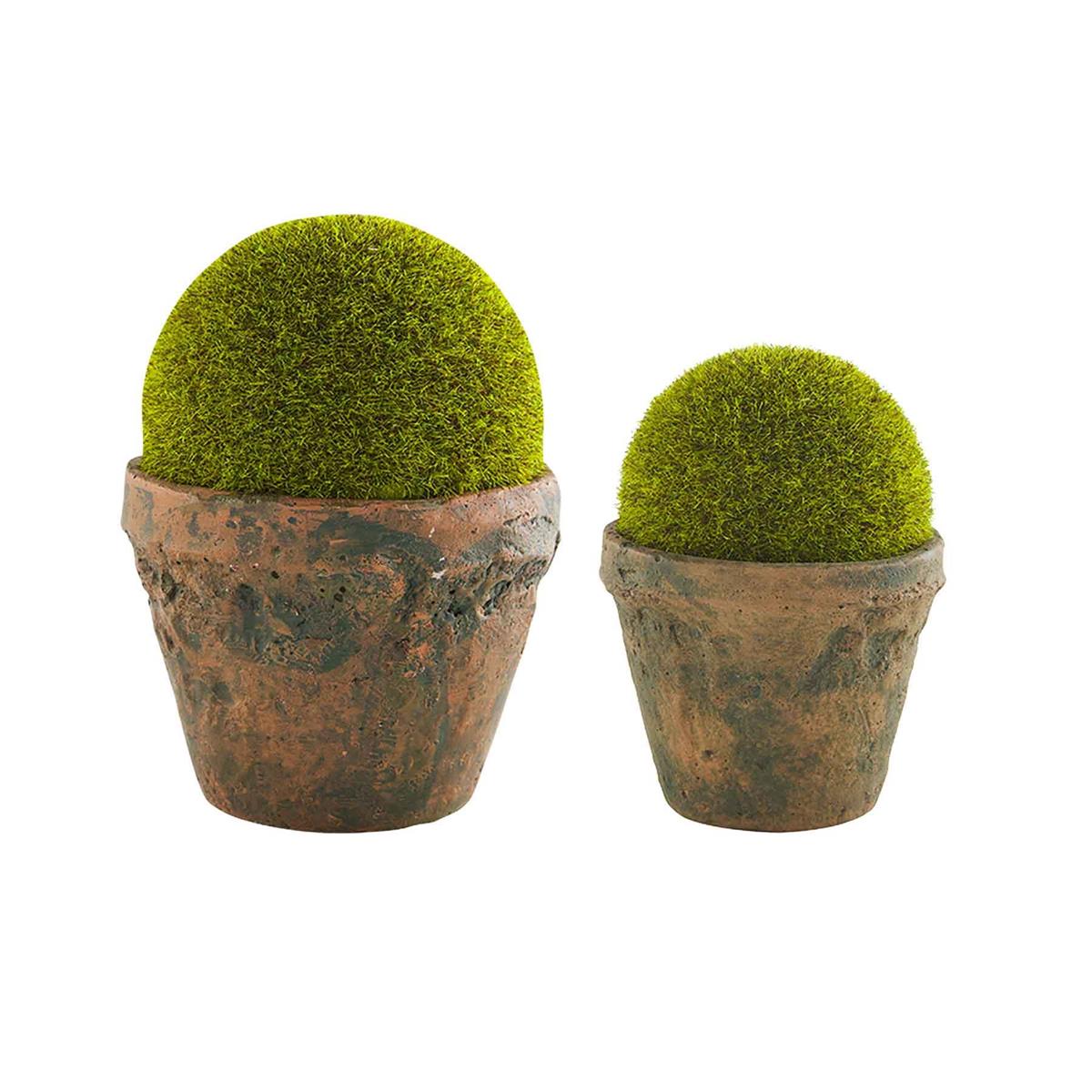 Preserved Moss Pots