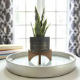 Snake Plant with Ceramic Pot
