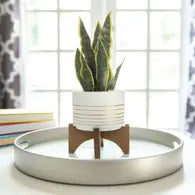 Snake Plant with Ceramic Pot