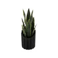 Snake Plant with Ceramic Pot