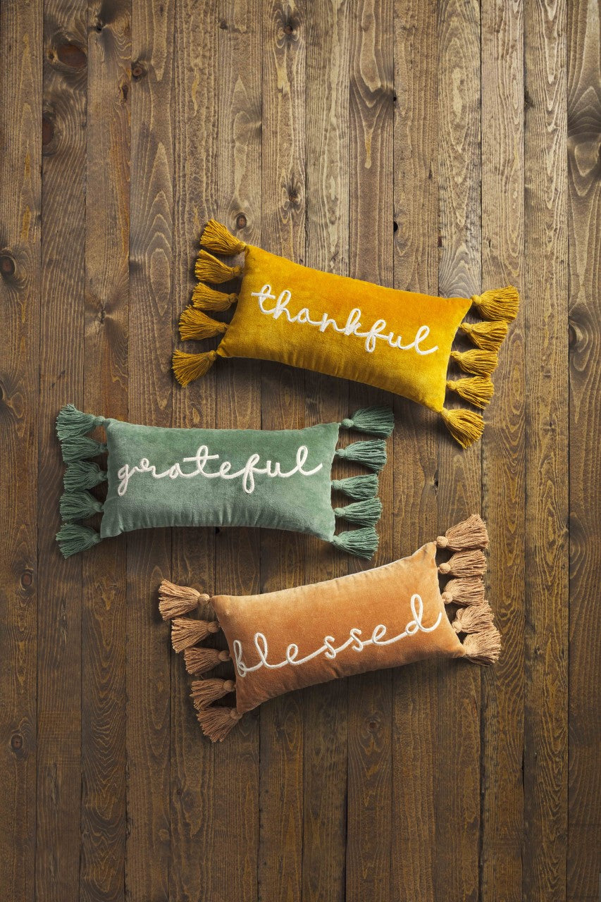 Velvet Applique Pillows For Fall