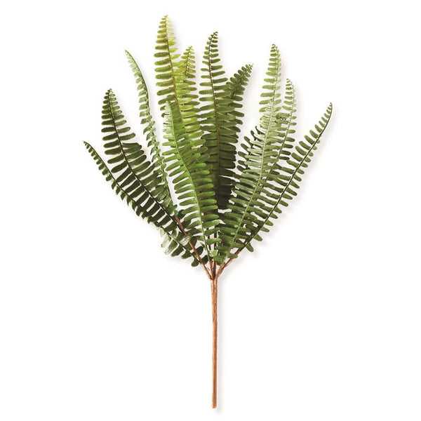 14.5 Inch Fish Bone Fern Stem