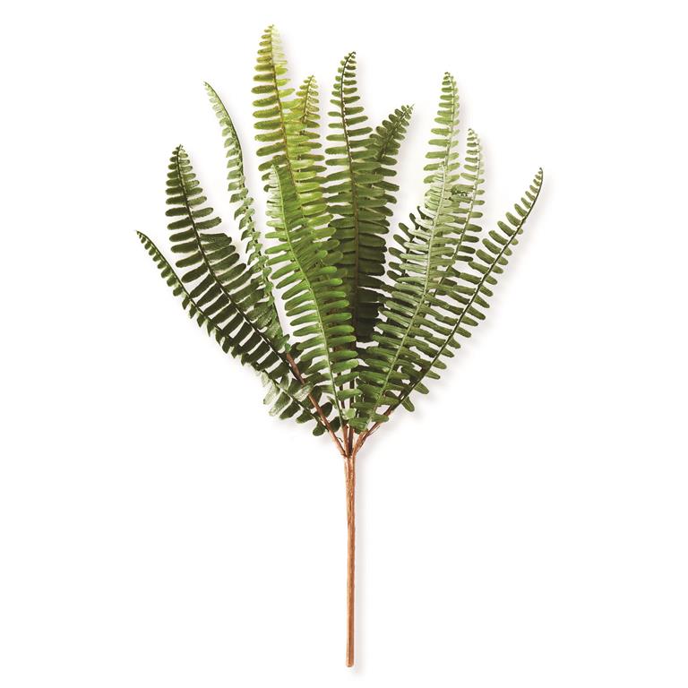 14.5 Inch Fish Bone Fern Stem
