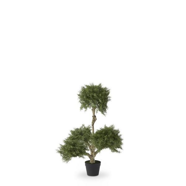 35 Inch Potted Cloud Cypress Tree