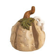 Texture Stoneware Pumpkin