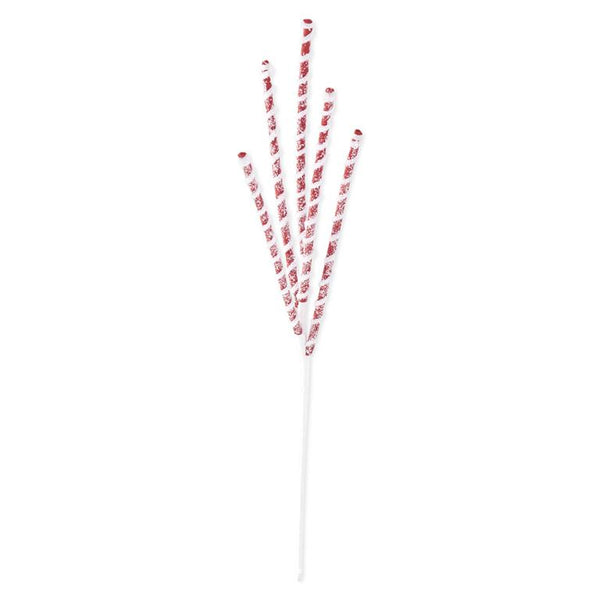 25 Inch Glittered Red & White Flocked Spiral Stem