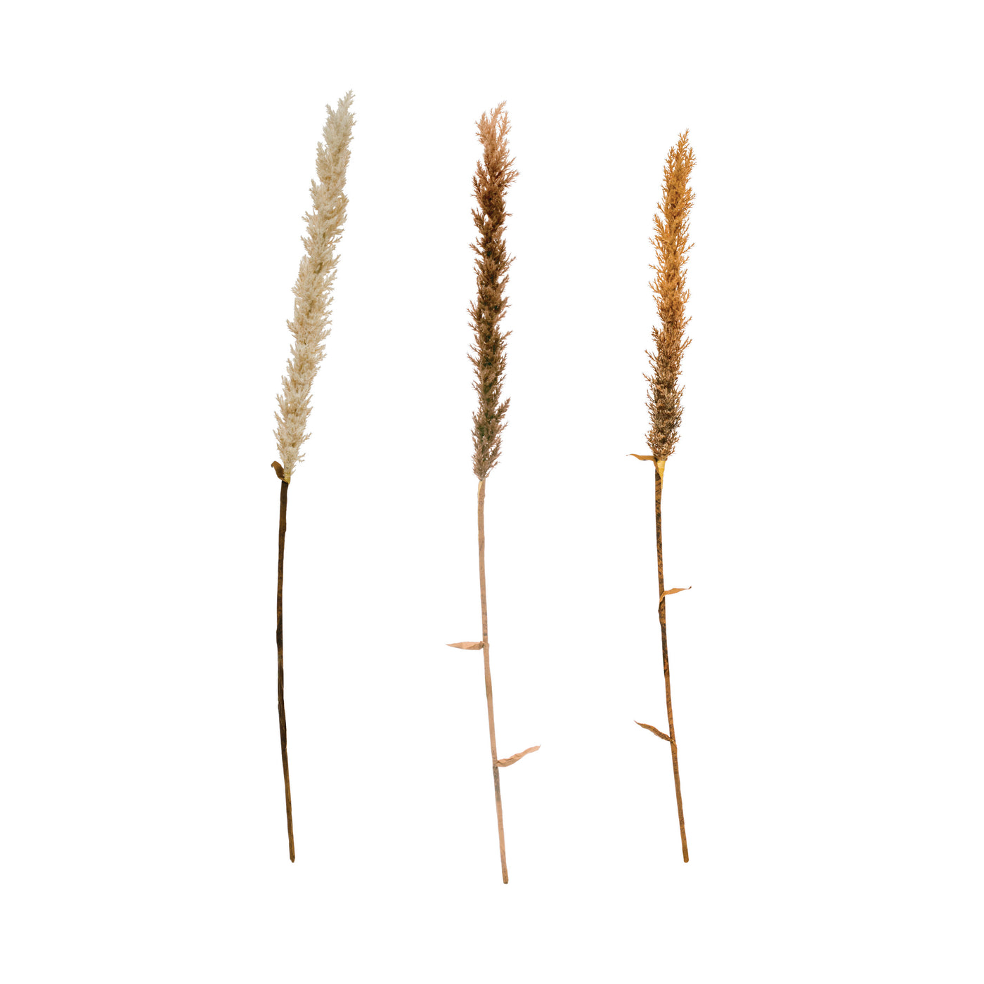 Faux Flocked Grass Plume, Set of 3