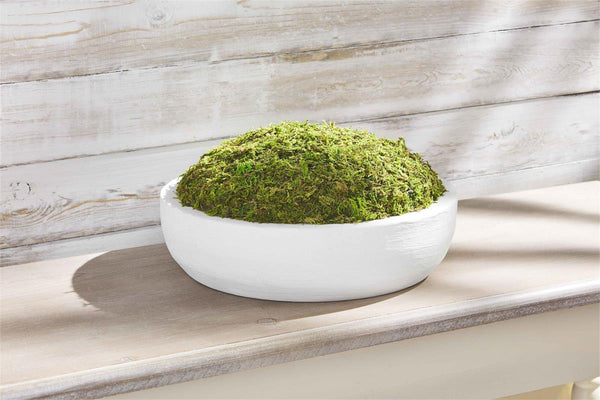Moss Bowl