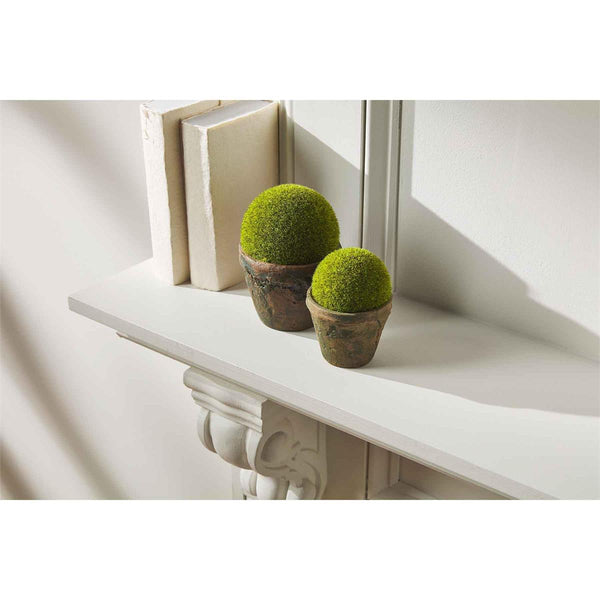 Preserved Moss Pots