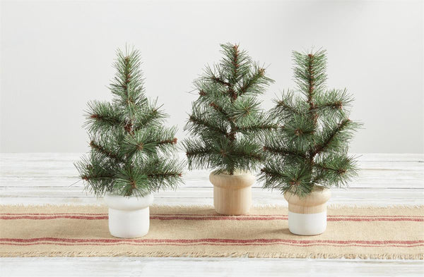 Potted Faux Pine Trees
